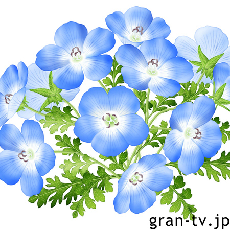 プロフ画像