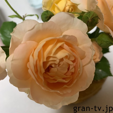 みま(55) プロフィール画像1