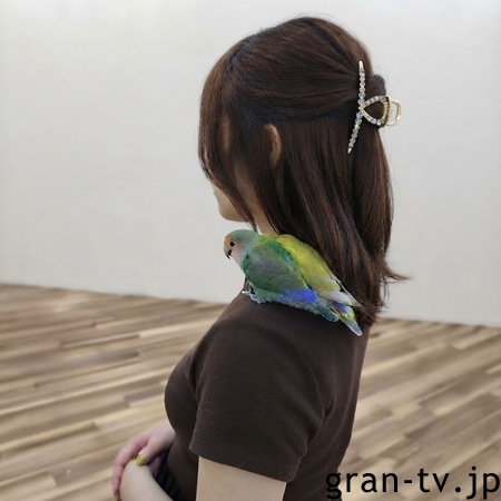 プロフ画像