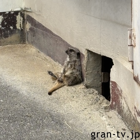 プロフ画像